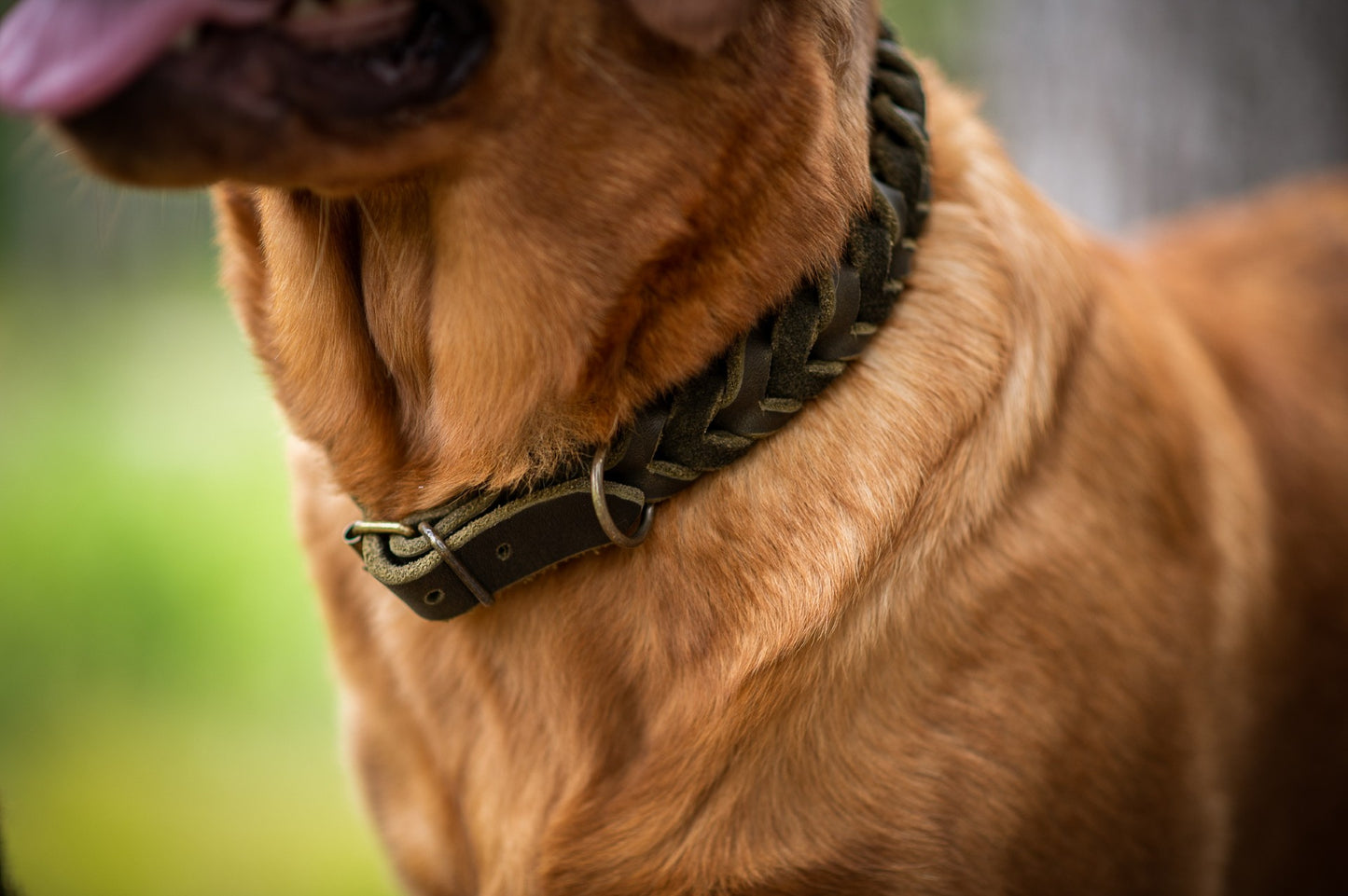 Halsband 2 Leder geflochten