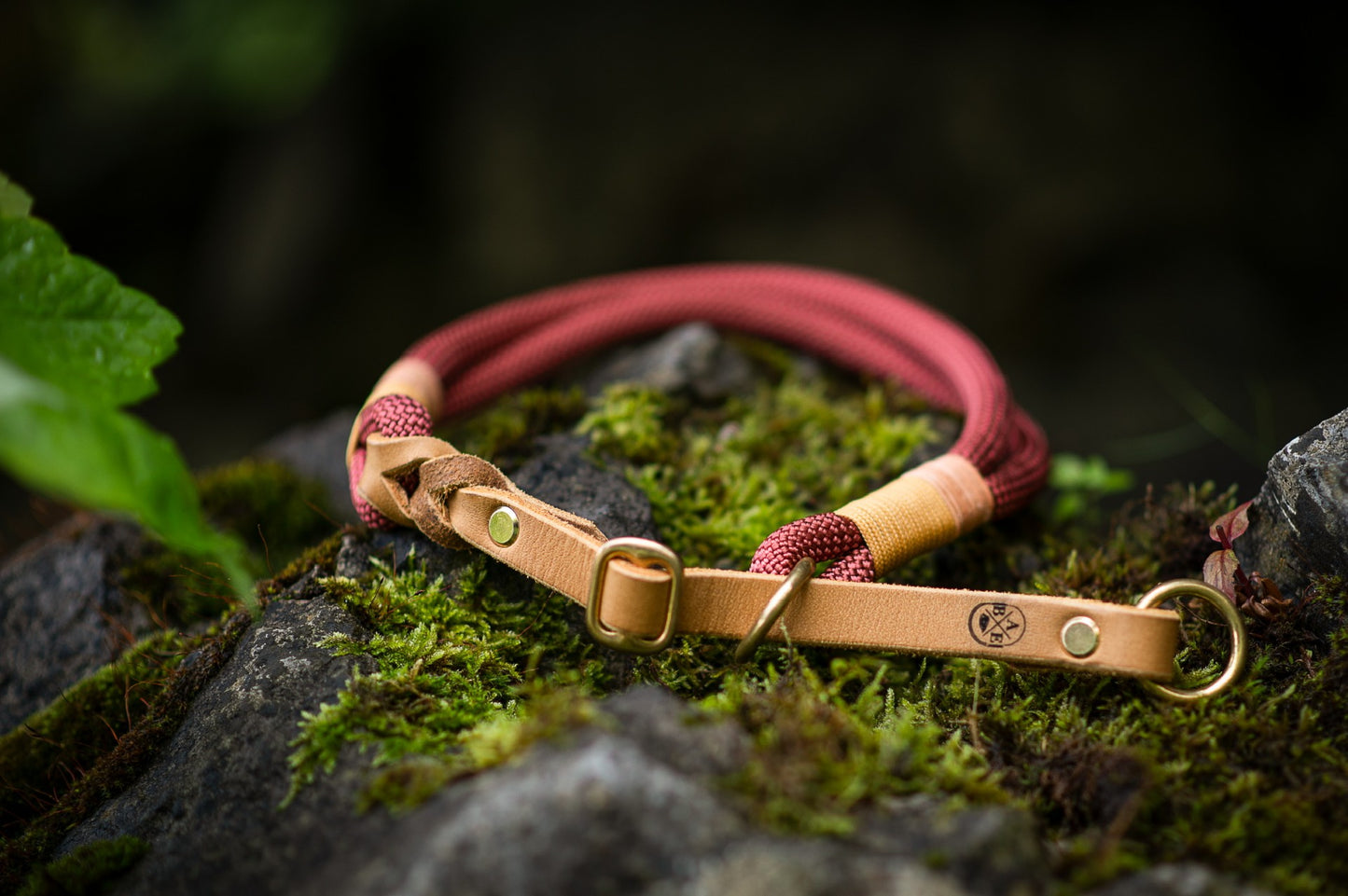 Halsband 1 Tau/Leder